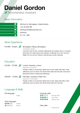 Resume template for Developer