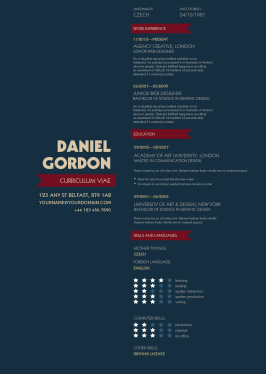 Resume template for Programmer